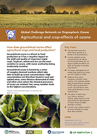 Agricultural and crop-effects of ozone
