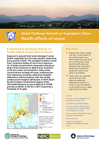 Health effects of Ozone